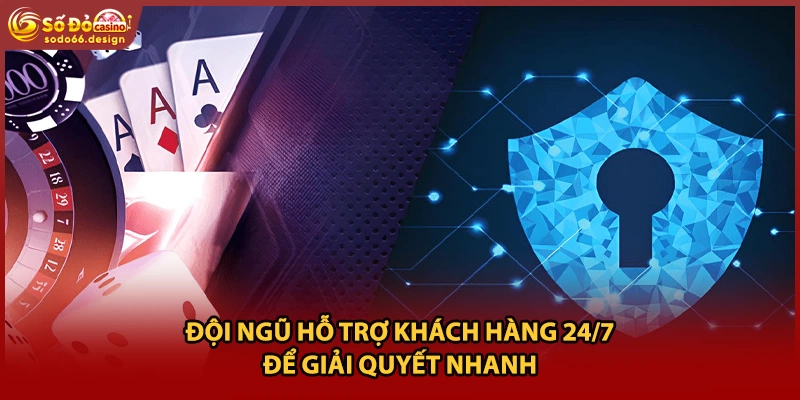 Đội ngũ hỗ trợ khách hàng 24/7 để giải quyết nhanh