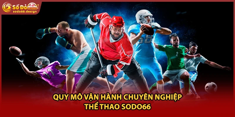 Quy mô vận hành chuyên nghiệp thể thao Sodo66